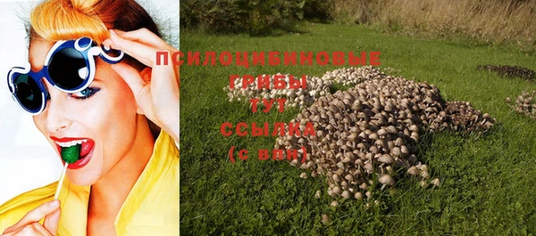 хмурый Бронницы