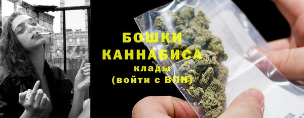 гашик Бородино