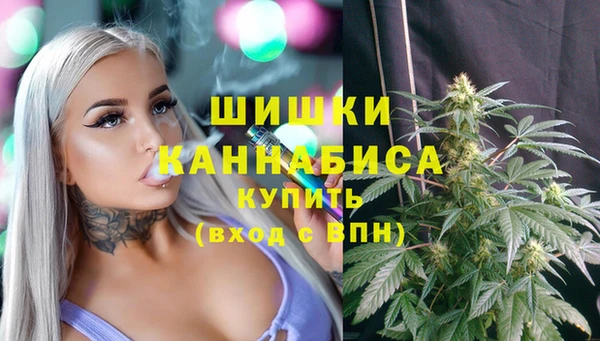 гашик Бородино