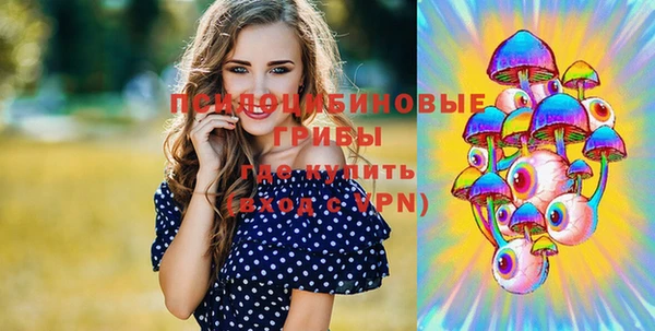 гашик Бородино