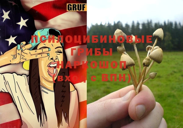 гашик Бородино