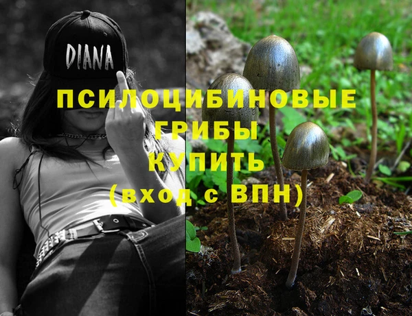 метамфетамин Гусиноозёрск
