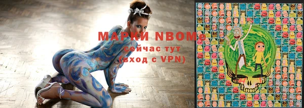 хмурый Бронницы