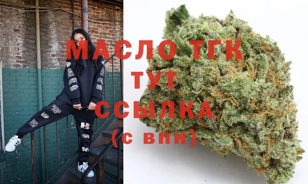 гашик Бородино