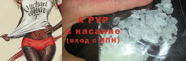 гашик Бородино