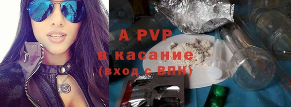 гашик Бородино