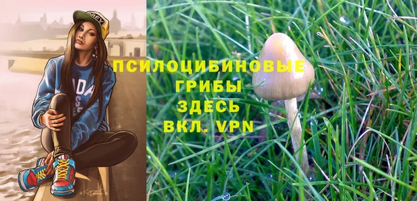 хмурый Бронницы